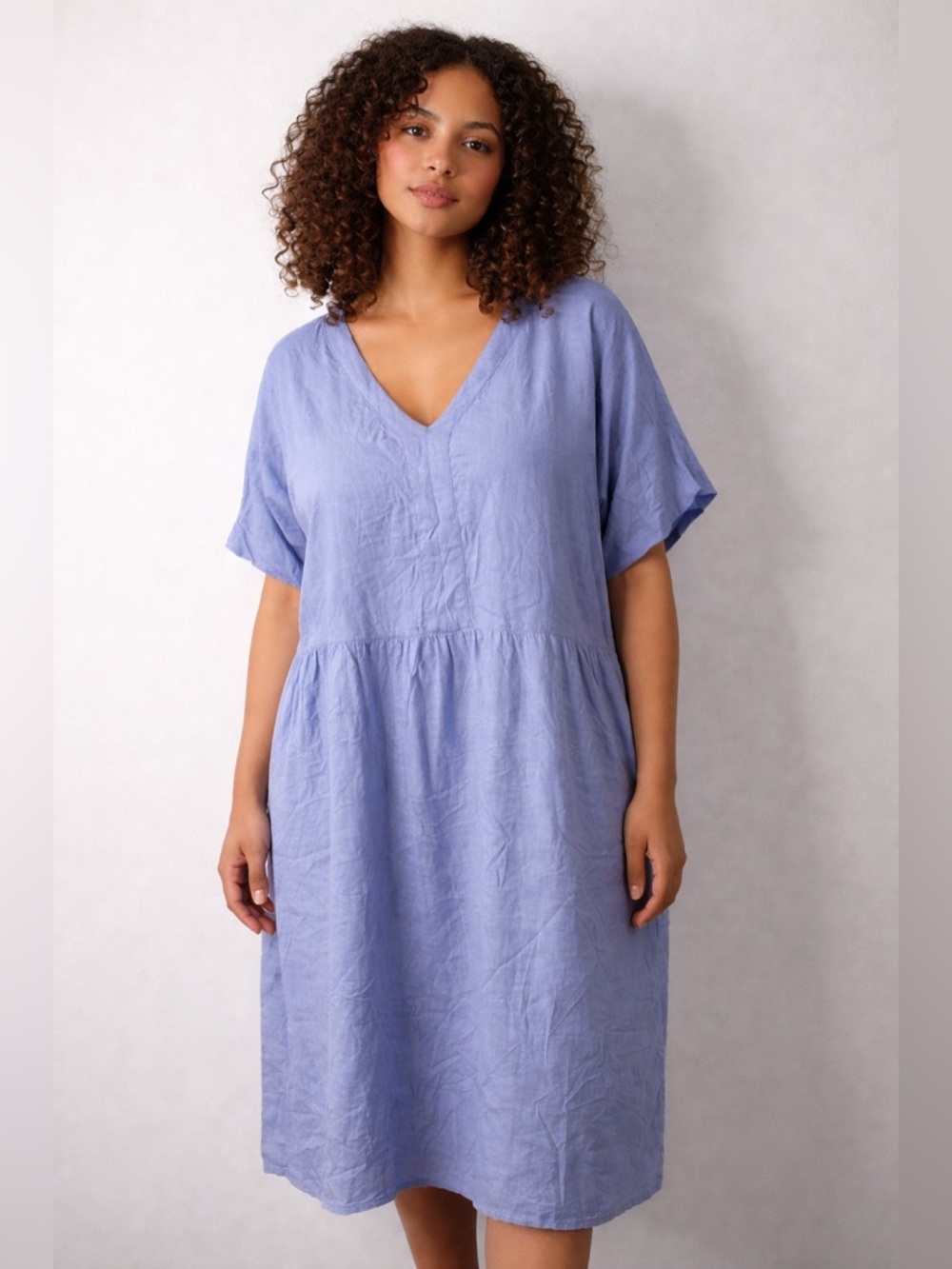 Briggs New York Light Periwinkle Dress
